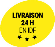 livraison pièce auto en 24h en ile de france